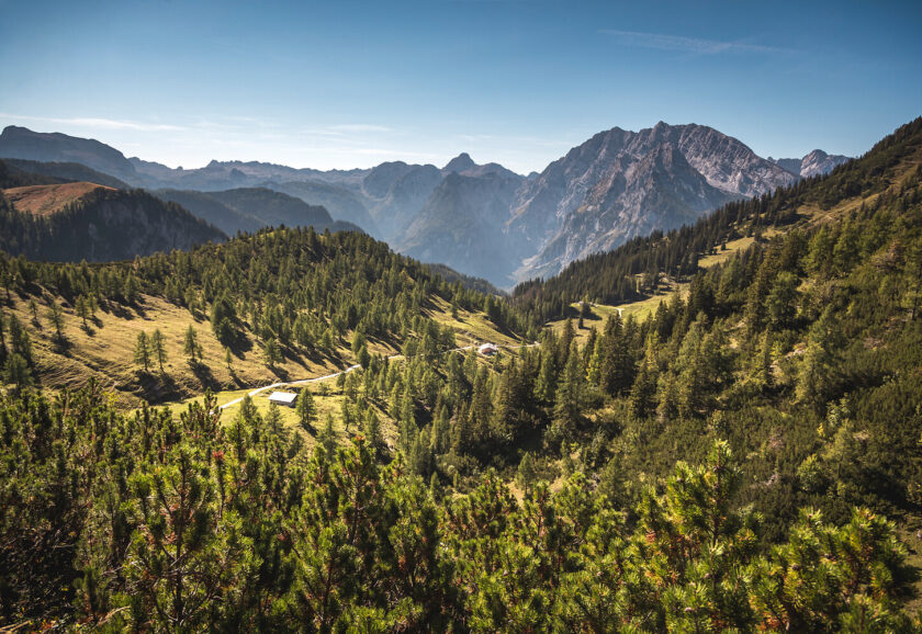 Die Grüne Landschaft des Nationalpark Berchtesgaden